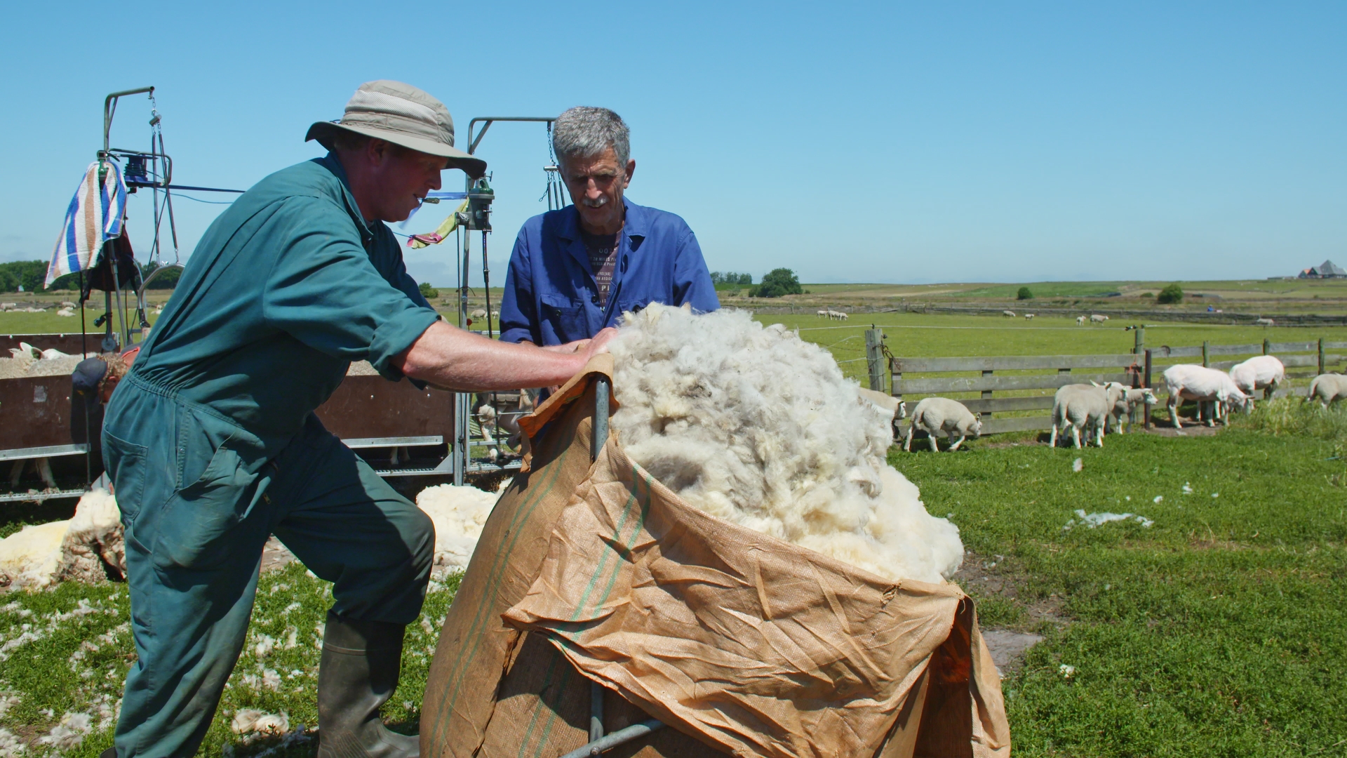 Texeler puur natuur wollen dekbedden