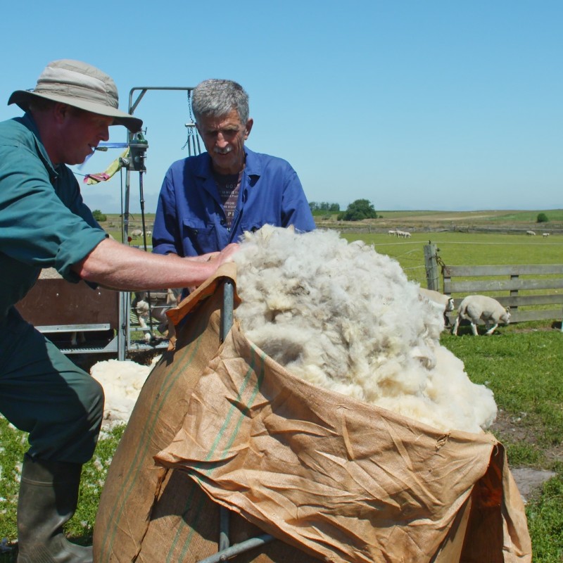 Texeler puur natuur wollen dekbedden